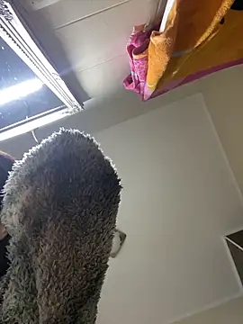 Snapshot of Lexi_Storm chatting on December 3, 2025, 5:48 am Lexi Storm online show from December 3, 2025, 5:48 am