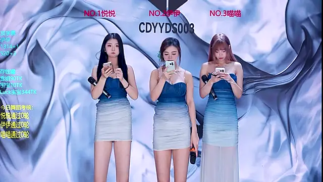 cdyyds001 online show from November 28, 2025, 11:13 am