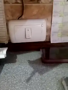 vergonvenco online show from October 31, 2025, 11:33 am