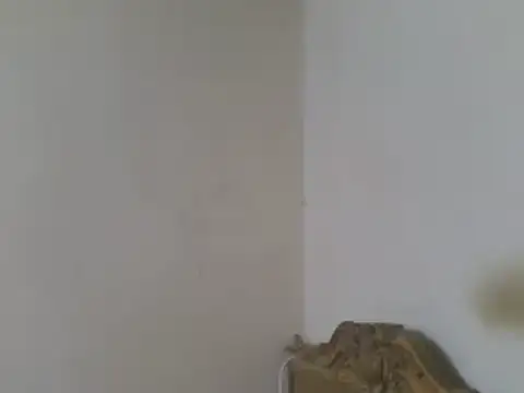 elpoop7305 online show from July 19, 2026, 4:16 am