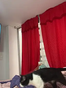 larsonbeverly online show from April 21, 2026, 5:50 pm