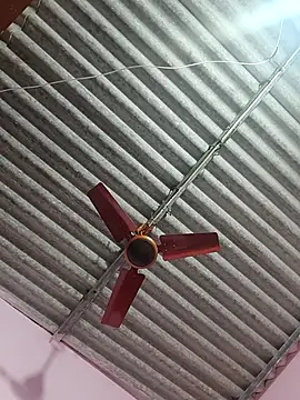 Cute-Swewty online show from February 9, 2026, 4:33 pm