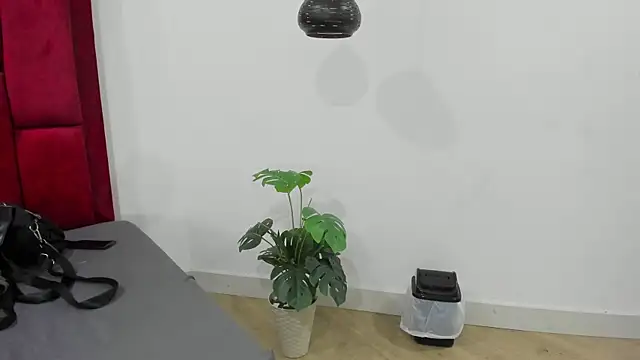 Mollyxketa1  online show from October 2, 2025, 11:23 pm