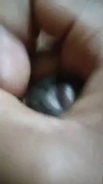 Snapshot of Vizgeboys chatting on December 2, 2025, 6:03 pm Vizgeboys online show from December 2, 2025, 6:03 pm