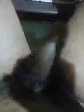 Snapshot of Vizgeboys chatting on February 28, 2026, 9:43 am Vizgeboys online show from February 28, 2026, 9:43 am