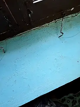 telugu virigin hot online show from September 25, 2025, 4:05 am