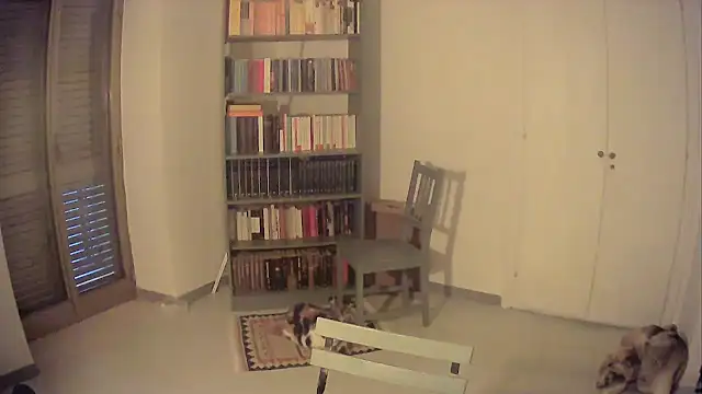 Mrkurt86 online show from October 26, 2025, 4:02 pm