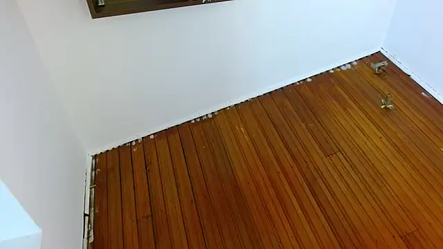 shelbygp online show from March 5, 2026, 12:01 pm