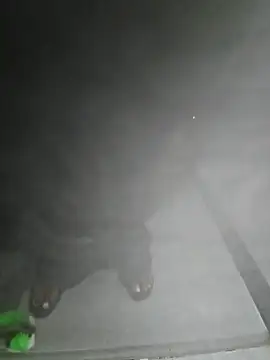 LundBoyram online show from October 28, 2025, 7:34 am