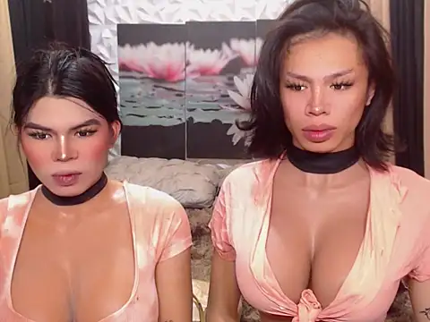 Snapshot of WILDROXIE chatting on December 16, 2025, 4:17 am WILDROXIE online show from December 16, 2025, 4:17 am