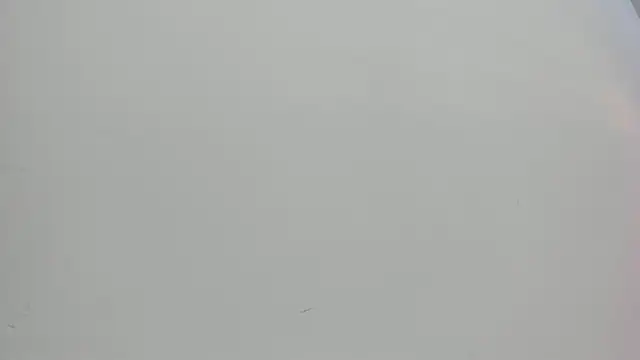 Saammy 17 online show from October 1, 2025, 8:04 pm