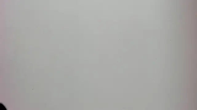 Saammy 17 online show from October 2, 2025, 8:16 pm