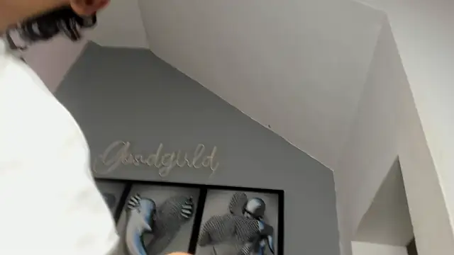 camillo virgil online show from October 14, 2025, 10:49 am