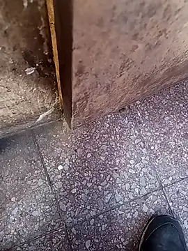 lucho2328 online show from September 10, 2025, 7:14 pm