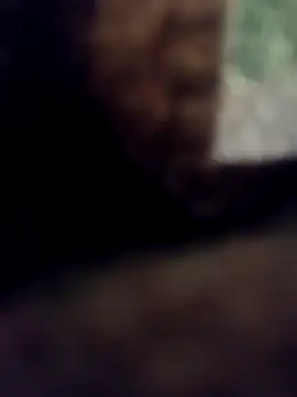 lucho2328 online show from September 11, 2025, 7:19 am