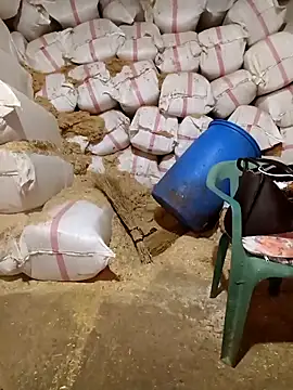 ezgi2545 online show from April 19, 2026, 11:09 am