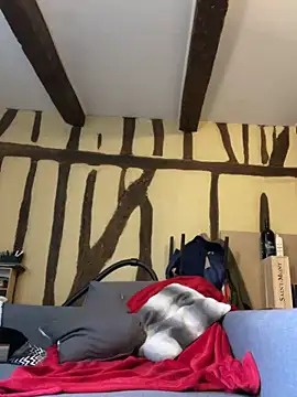 Toto-pika online show from March 26, 2026, 8:53 am