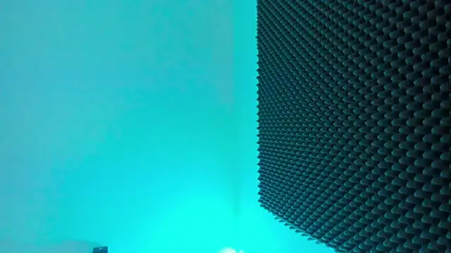 Ellope  online show from October 29, 2025, 11:17 pm