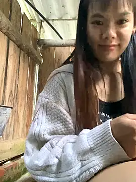 PhanHaa online show from October 4, 2025, 11:36 pm