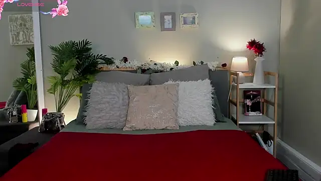 HotStellaaa online show from November 27, 2025, 8:38 am