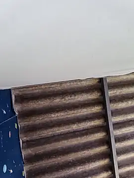 WholeAltimeter25 online show from February 10, 2026, 5:44 am