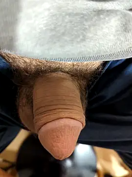 Sweethoneygun online show from October 15, 2025, 1:33 pm