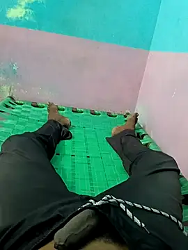 dolphiinn online show from September 14, 2025, 6:12 am