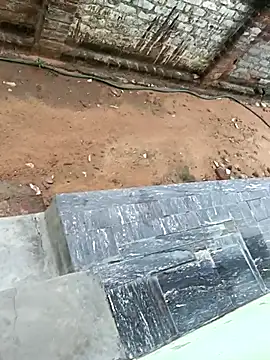 dolphiinn online show from October 17, 2025, 2:48 am