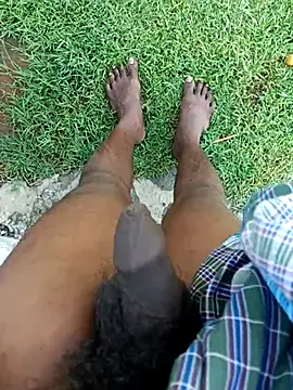 dolphiinn online show from November 7, 2025, 2:33 am