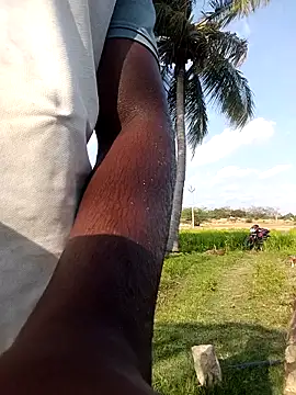 dolphiinn online show from April 21, 2026, 10:43 am