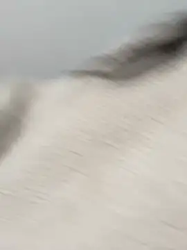 Snapshot of Victoria_alson chatting on February 19, 2026, 1:29 pm Victoria alson online show from February 19, 2026, 1:29 pm