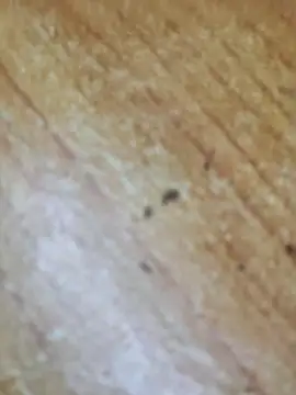 Markroco696 online show from October 6, 2025, 3:09 pm