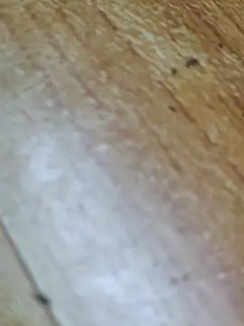 Markroco696 online show from October 12, 2025, 2:32 am