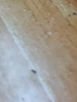 Markroco696 online show from October 16, 2025, 4:24 am