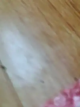 Markroco696 online show from October 18, 2025, 2:58 am