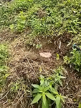 venu00 online show from April 21, 2026, 1:42 am