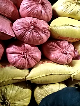 Sa2mh20 online show from February 11, 2026, 6:51 am