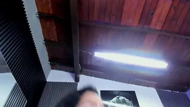 Bora Lajuana online show from April 13, 2026, 8:14 pm