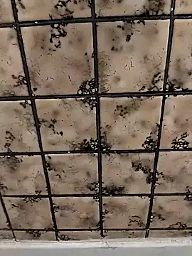 rosembertg online show from October 2, 2025, 1:07 pm