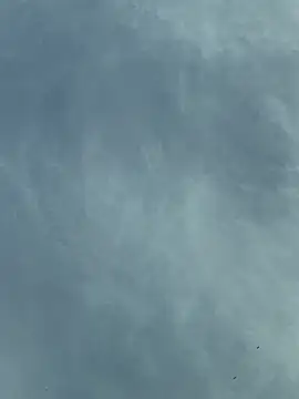 camboys poyraz online show from November 18, 2025, 1:04 pm