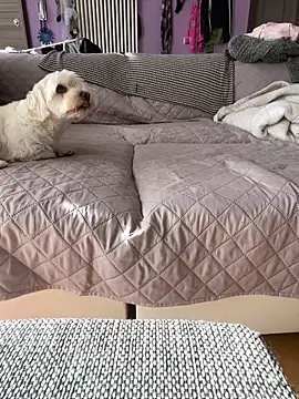 Snapshot of bananasex204 chatting on October 25, 2025, 12:02 pm bananasex204 online show from October 25, 2025, 12:02 pm