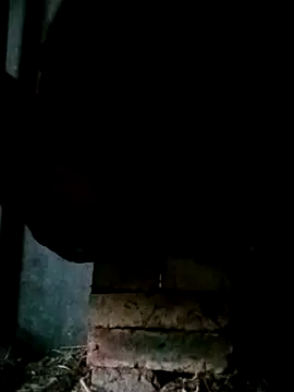 NegroArg 22 online show from October 2, 2025, 9:44 pm