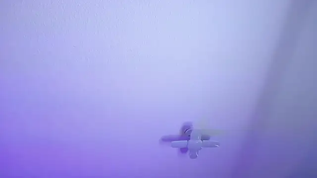  Charlotte Collins  online show from March 30, 2026, 3:02 pm