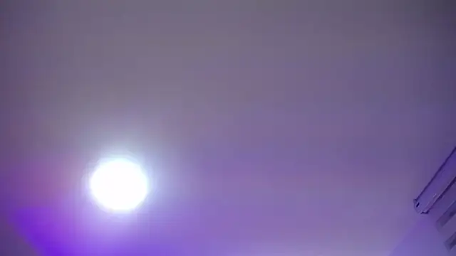  Charlotte Collins  online show from April 9, 2026, 2:33 pm