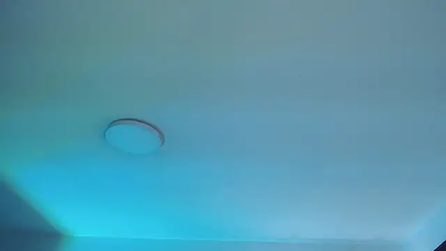  Charlotte Collins  online show from April 10, 2026, 2:22 pm