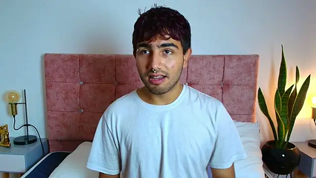 Ares Alpha online show from November 26, 2025, 6:53 pm