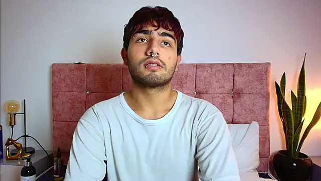 Ares Alpha online show from November 29, 2025, 6:33 pm