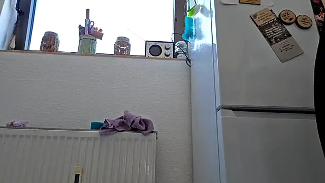 DeinSpielzeug online show from May 23, 2026, 12:53 pm
