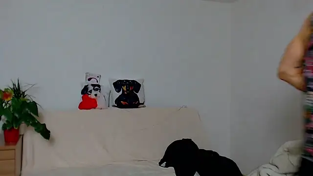 ZeinMiracles online show from November 29, 2025, 8:23 pm