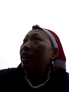 tcm-cute online show from November 12, 2025, 7:31 am